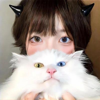 藏獒多吉